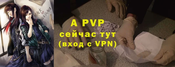 дмт Кукмор